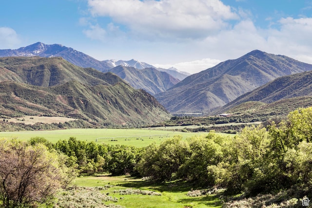 533 N Left Fork Hobble Creek Cyn, Springville, UT 84663 - view of property view of mountains