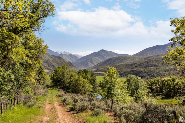 533 N Left Fork Hobble Creek Cyn, Springville, UT 84663 - view of mountain feature
