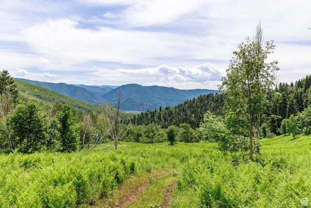 533 N Left Fork Hobble Creek Cyn, Springville, UT 84663 - view of property view of mountains
