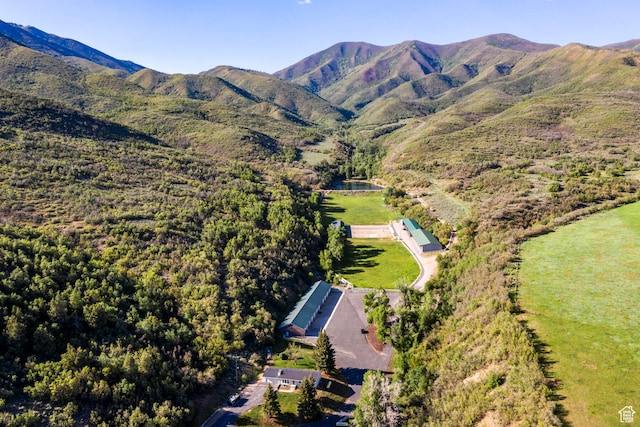 533 N Left Fork Hobble Creek Cyn, Springville, UT 84663 - bird's eye view with a mountain view