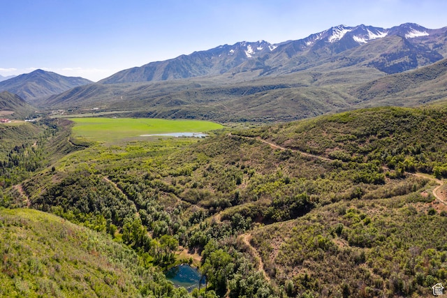 533 N Left Fork Hobble Creek Cyn, Springville, UT 84663 - property view of mountains with a water view
