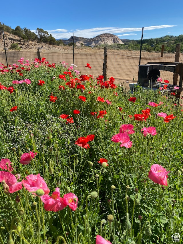 view of yard featuring a mountain view