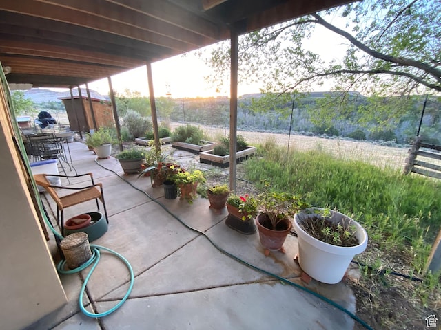 view of patio / terrace featuring a shed