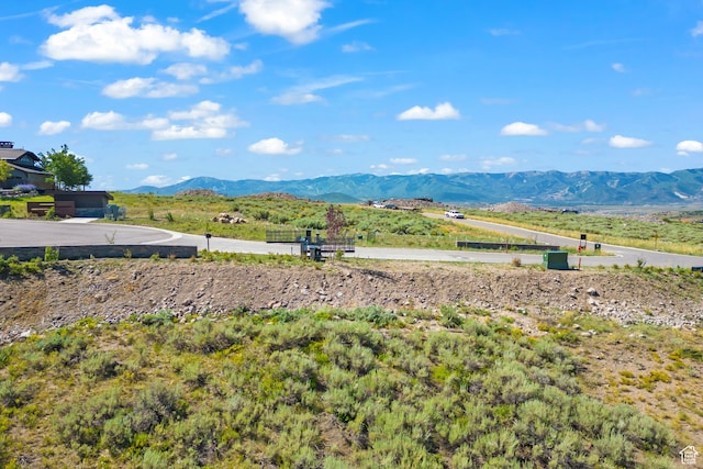 3172 Wapiti Canyon Rd, Park City, UT 84098 - mountain view