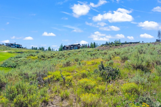 3172 Wapiti Canyon Rd, Park City, UT 84098 - view of local wilderness