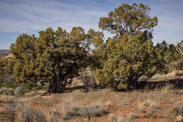 117 Flat Iron Mesa Rd Unit 46, La Sal, UT 84530