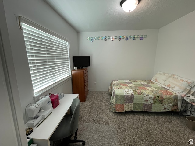 14719 S Nob Ln, Bluffdale, UT 84065 - photo 26