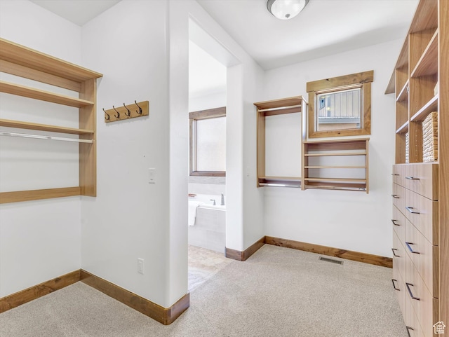 1707 E Kings Peak Cir N, Heber City, UT 84032 - spacious closet with carpet flooring