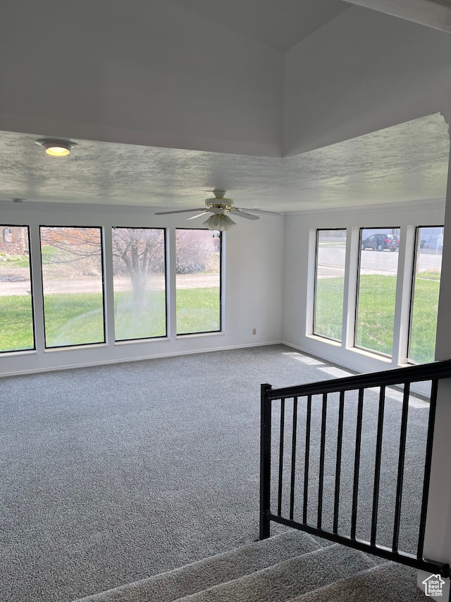 55 E 200 S, Ephraim, UT 84627 - empty room with light colored carpet, lofted ceiling, and ceiling fan