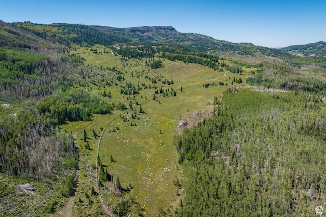 0 Unit 18, Brian Head, UT 84719 - photo 9
