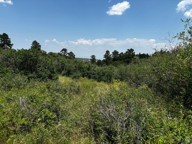 205 Beaver Creek Overlook, Moab, UT 84532