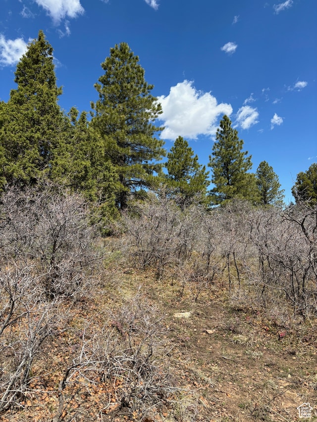 205 Beaver Creek Overlook, Moab, UT 84532
