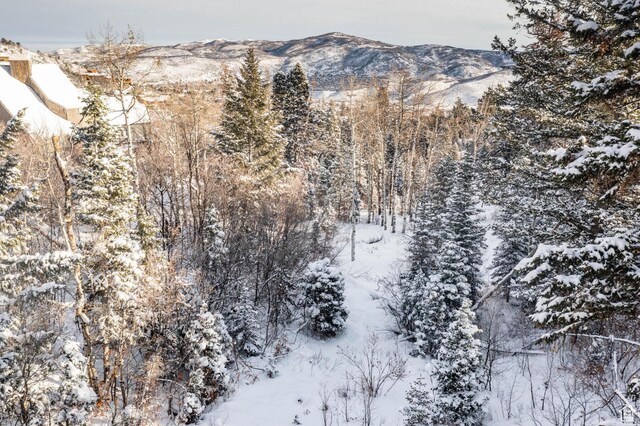 7558 Buckboard Dr Unit 131, Park City, UT 84098