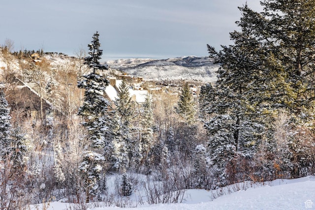 7558 Buckboard Dr Unit 131, Park City, UT 84098