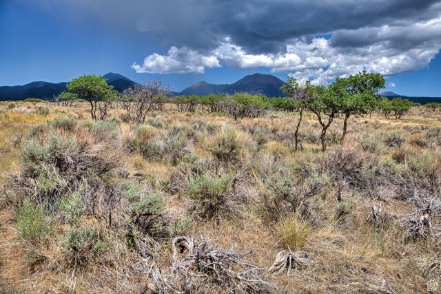 113 E Deerk Creek Rd Unit 14, La Sal, UT 84530