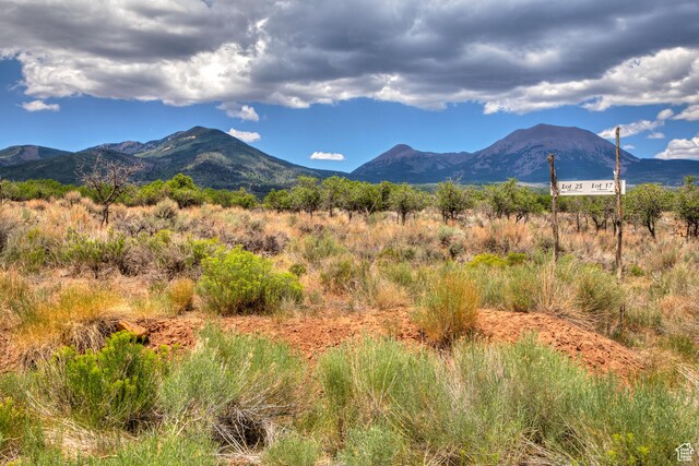 113 E Deerk Creek Rd Unit 14, La Sal, UT 84530