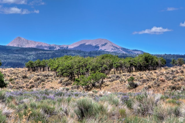 113 E Deerk Creek Rd Unit 14, La Sal, UT 84530