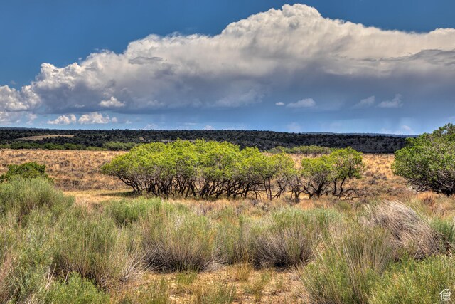 113 E Deerk Creek Rd Unit 14, La Sal, UT 84530