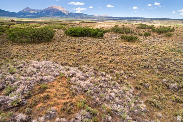 113 E Deerk Creek Rd Unit 14, La Sal, UT 84530