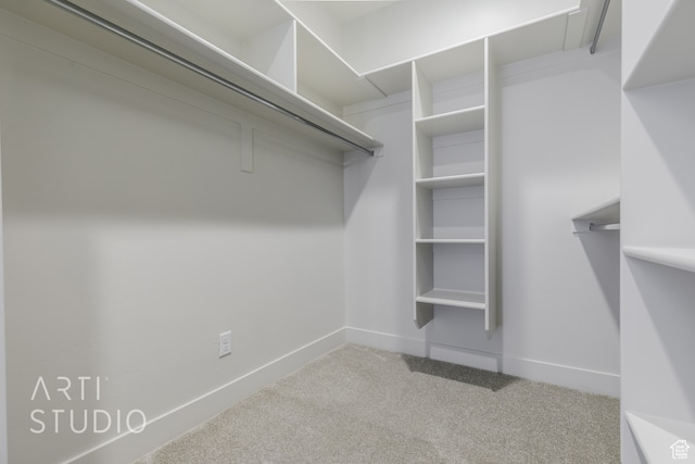 spacious closet featuring carpet floors