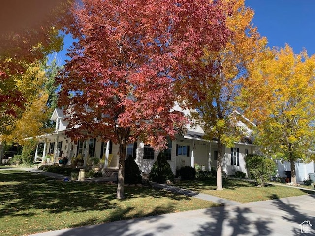 view of property hidden behind natural elements featuring a front lawn