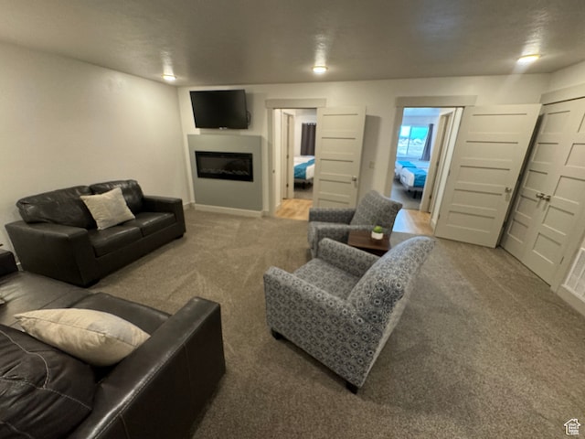 140 W 150 S Unit I32, Garden City, UT 84028 - living room featuring carpet flooring and a fireplace