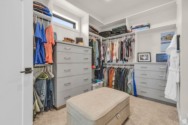 1429 S Hallam Rd Unit 2, Francis, UT 84036 - walk in closet featuring light carpet