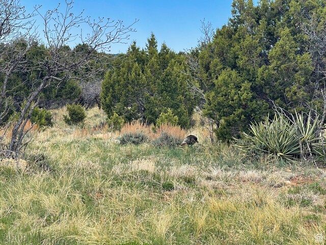 1 S Creek Rd, Monticello, UT 84535 - photo 10