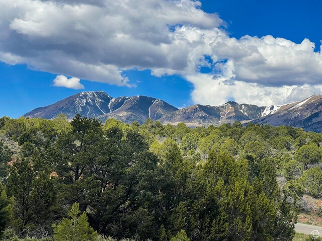 1 S Creek Rd, Monticello, UT 84535 - photo 22