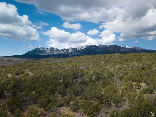 1 S Creek Rd, Monticello, UT 84535 - photo 28