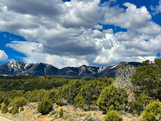 1 S Creek Rd, Monticello, UT 84535 - photo 12