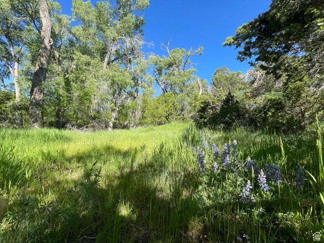 1 S Creek Rd, Monticello, UT 84535 - photo 2