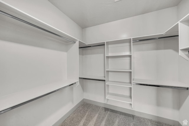 664 Pine Canyon Rd, St George, UT 84790 - spacious closet featuring light colored carpet