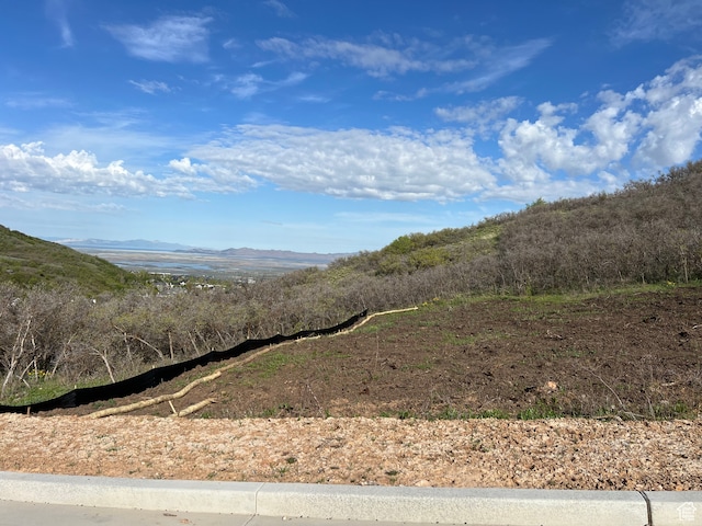 676 S Tanglewood Loop E Unit 1336, North Salt Lake, UT 84054 - view of mountain feature