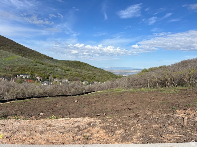 676 S Tanglewood Loop E Unit 1336, North Salt Lake, UT 84054 - view of mountain feature