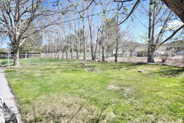 75 E 300 N, Glenwood, UT 84730 - view of yard