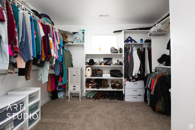 walk in closet featuring carpet floors