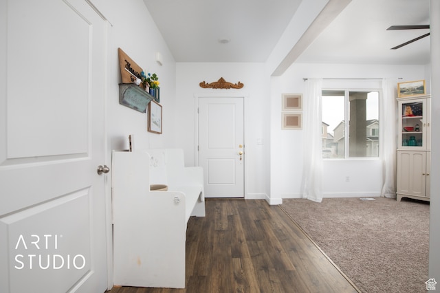 hallway featuring dark hardwood / wood-style flooring