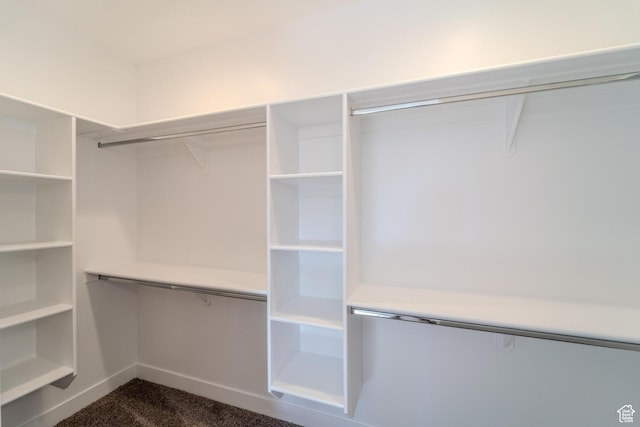 723 S 1220 W Unit 34, Hurricane, UT 84737 - walk in closet with dark carpet