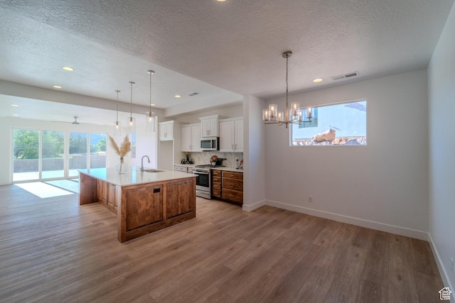 723 S 1220 W Unit 34, Hurricane, UT 84737 - kitchen with stainless steel appliances, light wood-type flooring, visible vents, and a sink