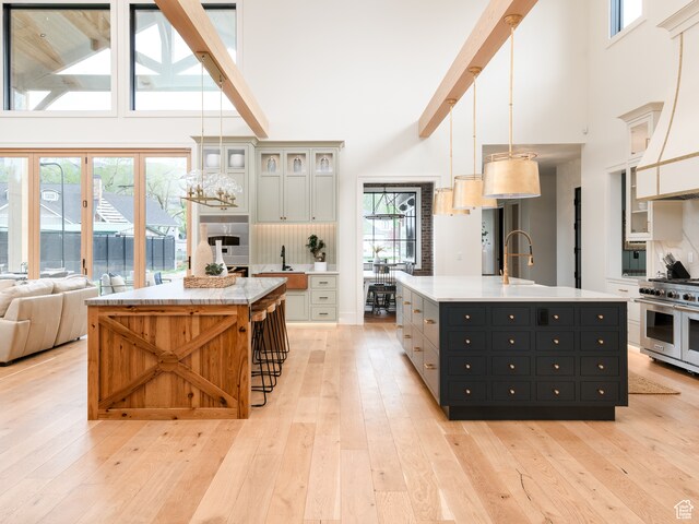 616 E Stokes Ave S, Draper, UT 84020 - kitchen with double oven range, light hardwood / wood-style flooring, a towering ceiling, and an island with sink