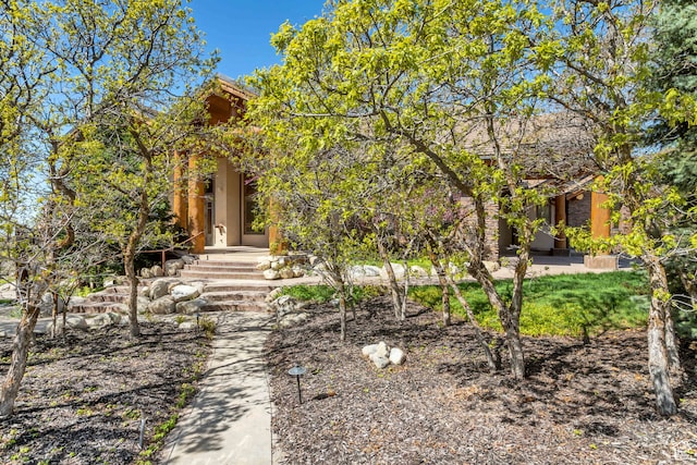 4345 W Stoneybrook Cir, Alpine, UT 84004 - view of property hidden behind natural elements
