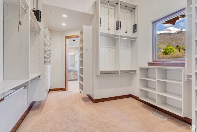 4345 W Stoneybrook Cir, Alpine, UT 84004 - spacious closet with light carpet