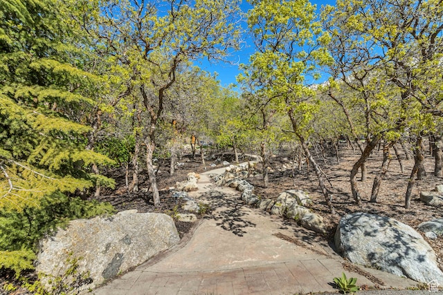 4345 W Stoneybrook Cir, Alpine, UT 84004 - exterior space