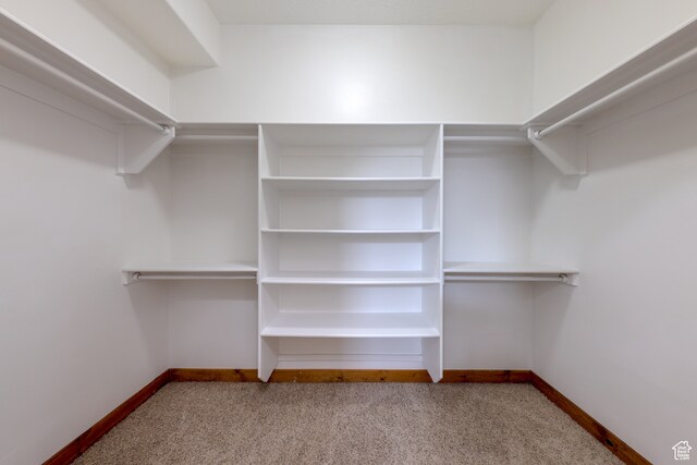 1145 E Bonita St, Moab, UT 84532 - spacious closet with carpet