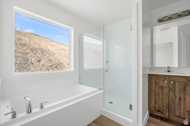 1698 S Marigold Unit 242, Santaquin, UT 84655 - bathroom with a garden tub, wood finished floors, a shower stall, and vanity