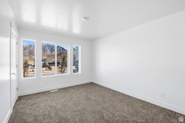 1698 S Marigold Unit 242, Santaquin, UT 84655 - empty room with carpet, baseboards, a mountain view, and a textured ceiling