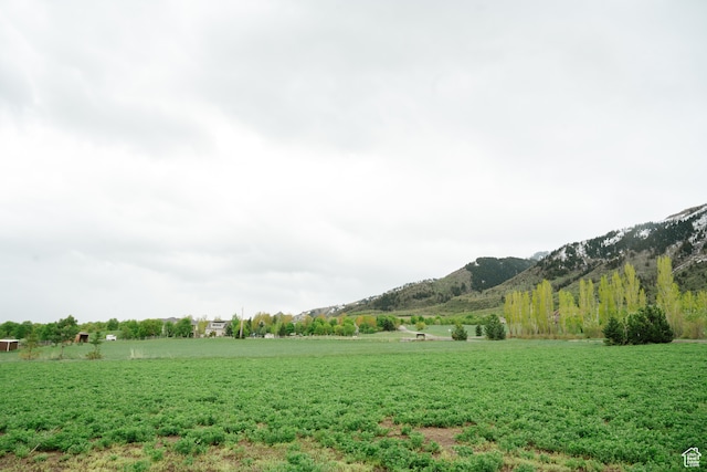 view of yard with a rural view and a mountain view