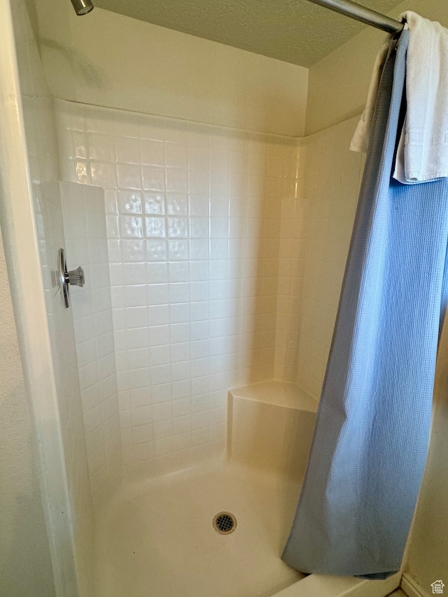 888 N Newburg Dr Unit 1, Garden City, UT 84028 - full bath featuring a shower with shower curtain
