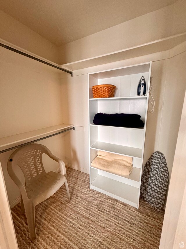 888 N Newburg Dr Unit 1, Garden City, UT 84028 - spacious closet featuring carpet